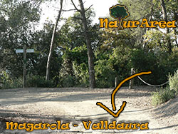 Margarola - Valldaura