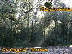 Ruta San Cugat-Horta